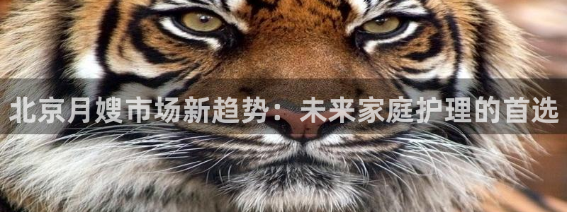 杏悦官网