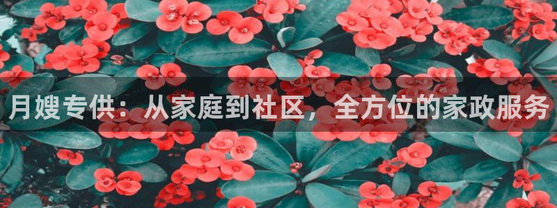杏悦官方平台官网首页