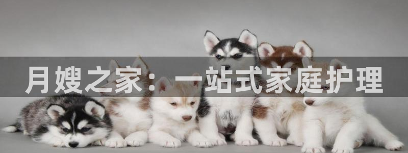 杏悦平台开户地址在哪里