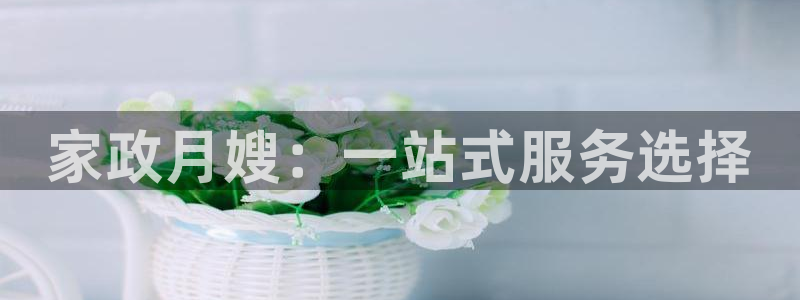 杏悦娱乐是什么