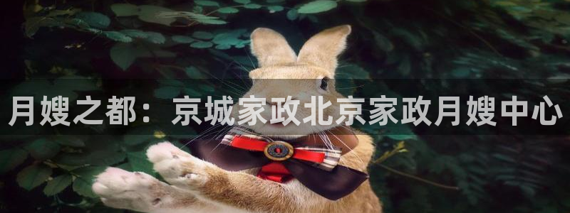 杏悦平台代理怎么做赚钱