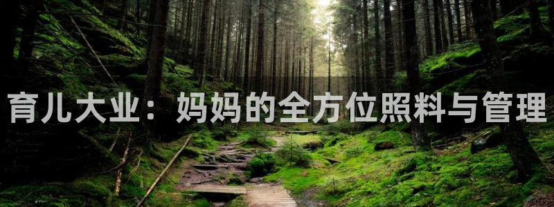 杏悦平台可靠吗可信吗安全吗
