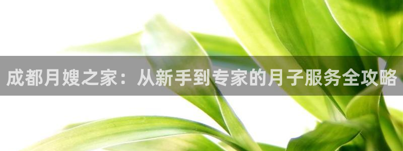 杏悦平台招商