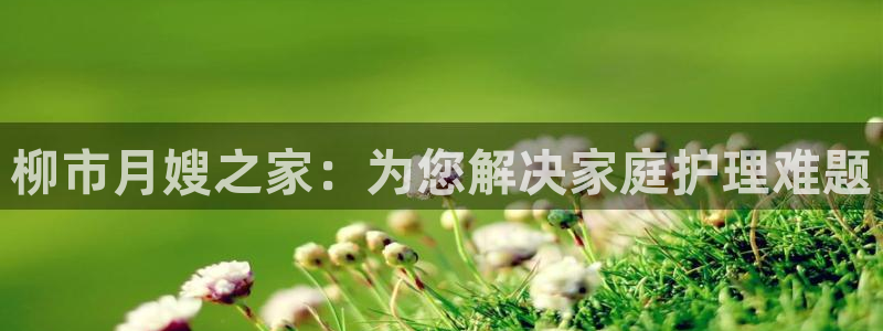 杏悦平台代理怎么赚钱