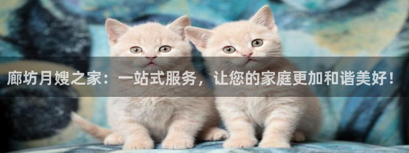 杏悦平台代理