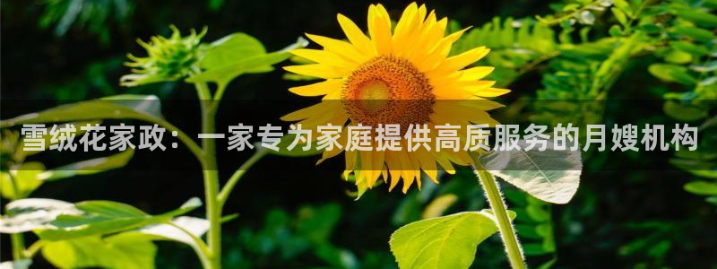 杏悦平台地址