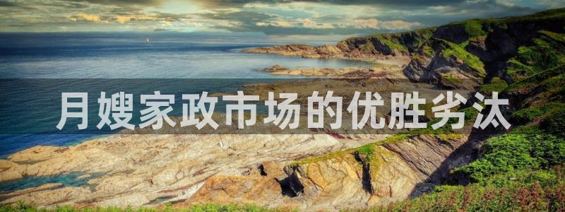杏悦平台招商