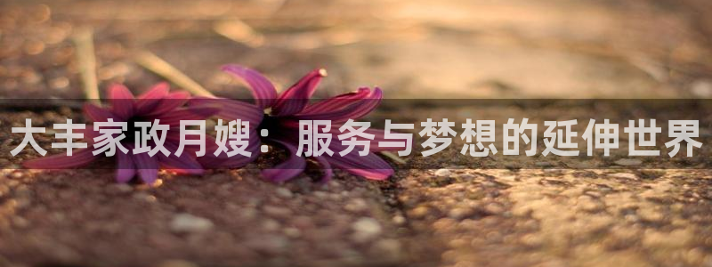 杏悦娱乐是什么