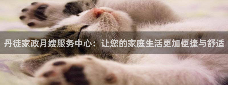 杏悦平台代理怎么赚钱的