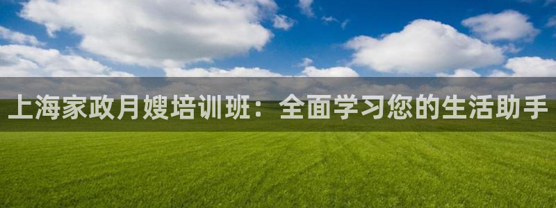 杏悦平台代理怎么做的