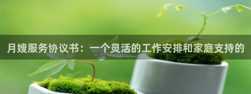 杏悦登入