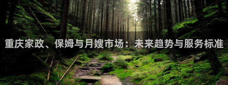 杏悦平台代理怎么赚钱的