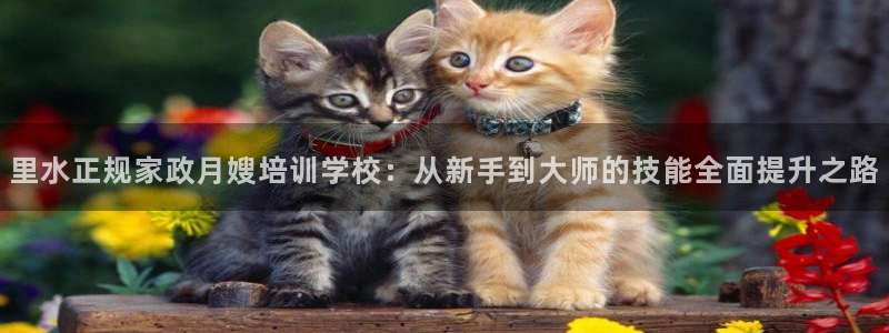 杏悦平台代理