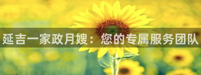 杏悦平台代理怎么赚钱快