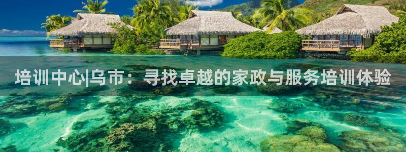 杏悦是什么
