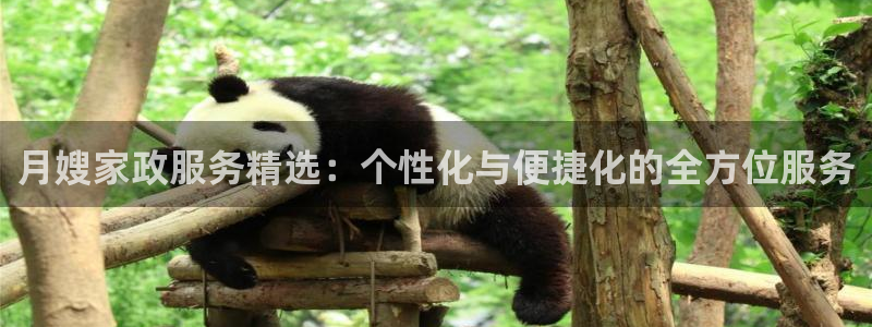 杏悦官方平台是正品吗