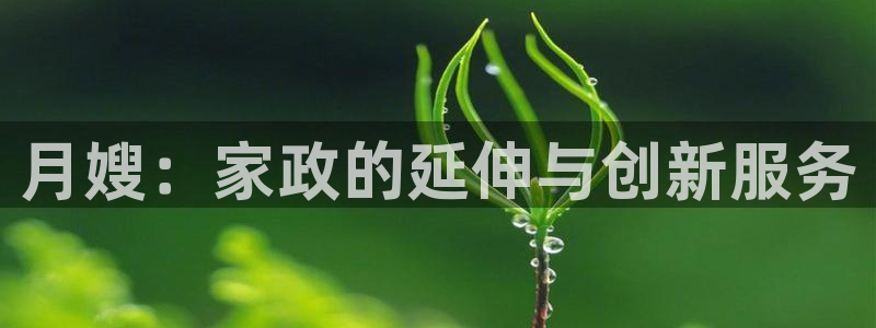 杏悦平台代理怎么赚钱快
