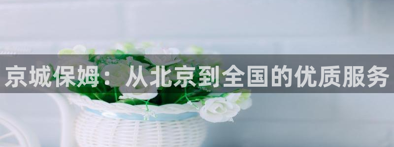 杏悦平台开户地址在哪里