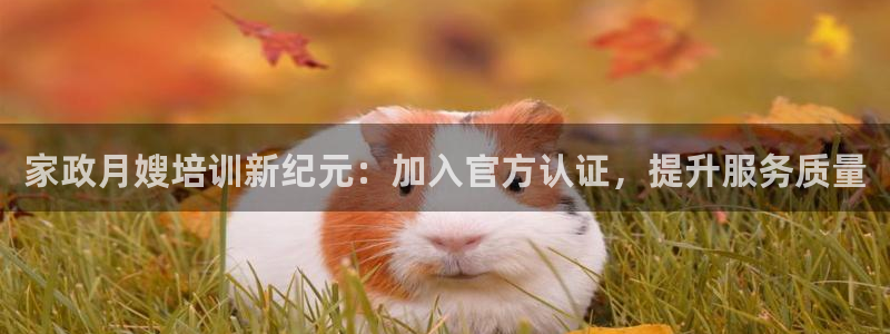 杏悦平台代理怎么赚钱快