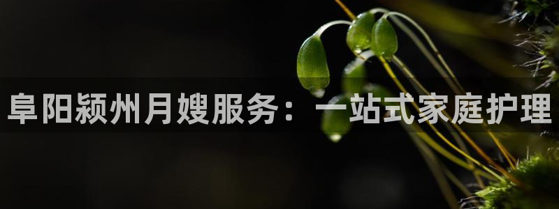 杏悦官方平台官网下载