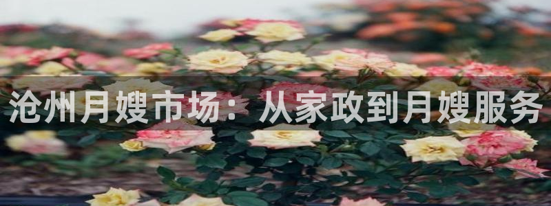 杏悦官网注册信息在哪里