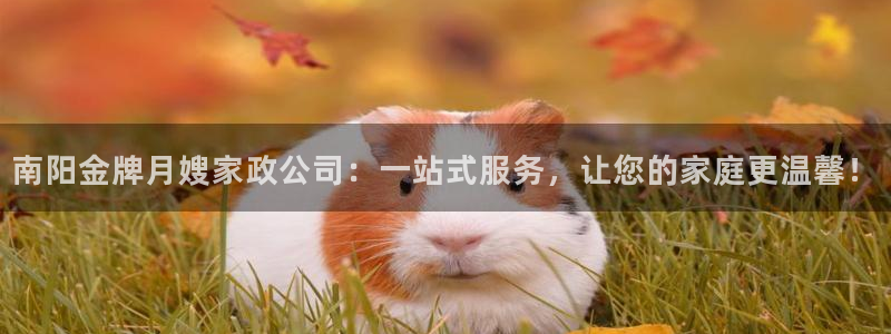 杏悦平台可靠吗可信吗安全吗