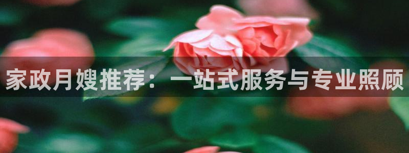 杏悦平台登录地址