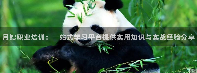 杏悦平台代理注册要钱吗