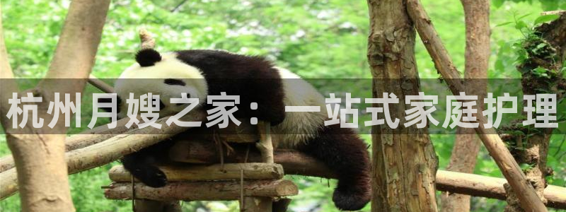 杏悦平台可靠吗可信吗