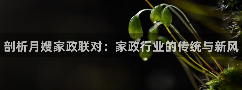 杏悦娱乐注册平台官网