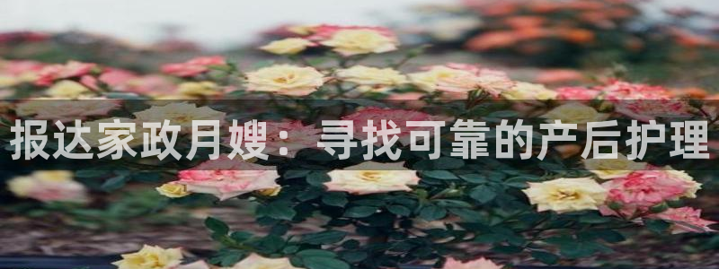 杏悦平台代理注册流程