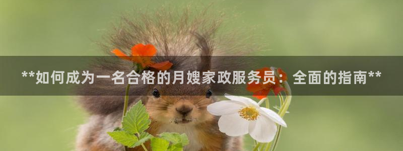 杏悦官网注册信息在哪里找