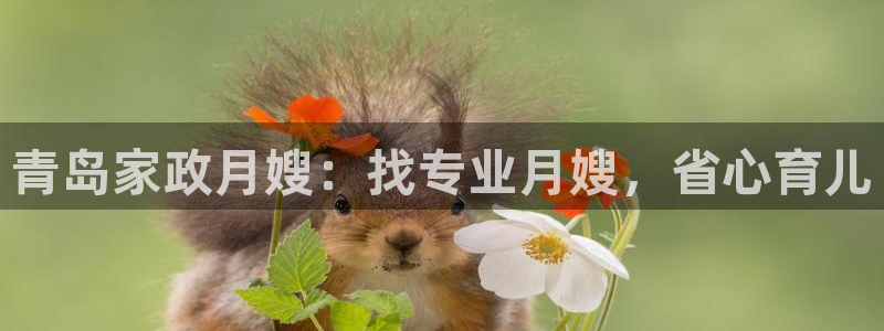 杏悦登录网址是什么