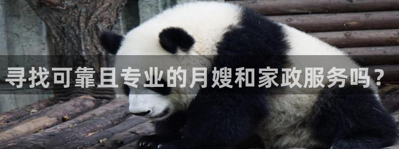 杏悦平台登录入口官网