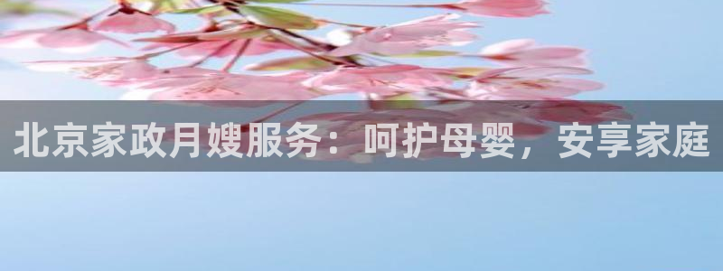 杏悦官网注册信息查询