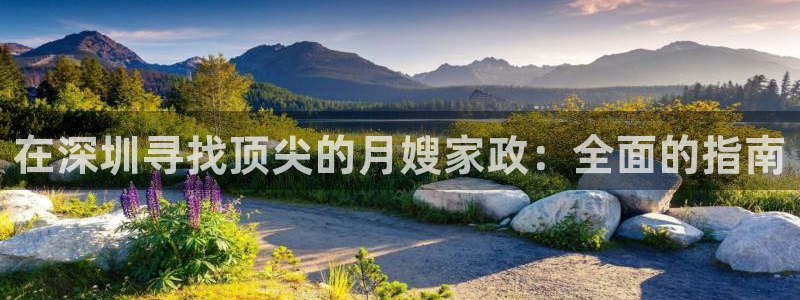 杏悦官网注册信息在哪里查看