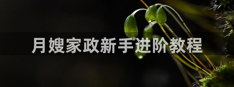 杏悦官网注册信息在哪里