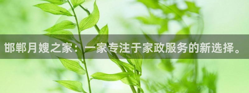杏悦平台登录