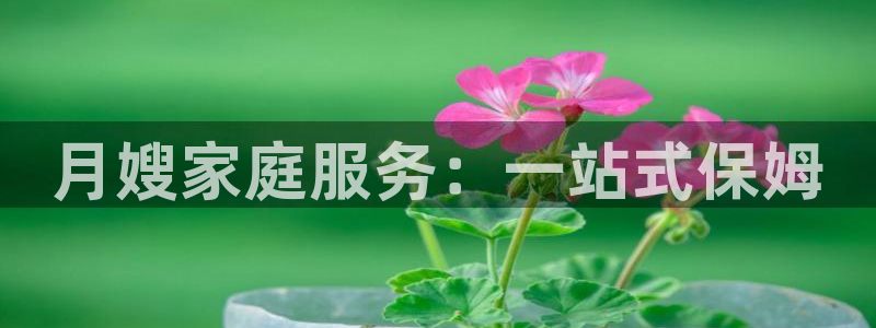 杏悦官网注册信息是什么