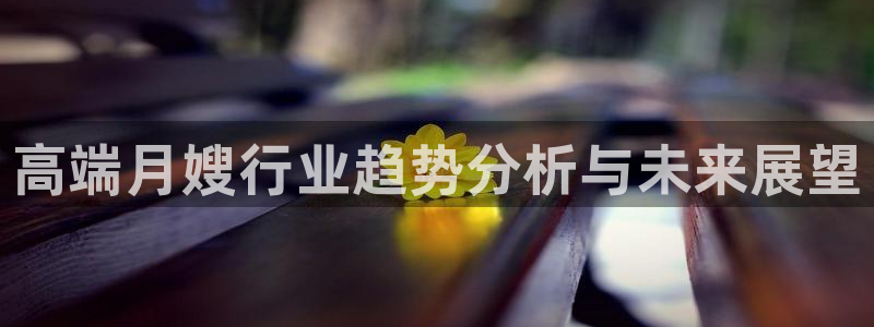 杏悦平台登录网址查询