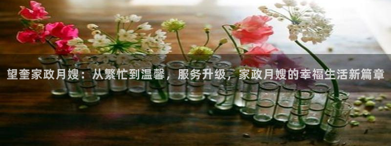 杏悦官网登录