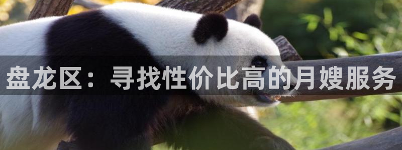 杏悦平台代理注册要钱吗