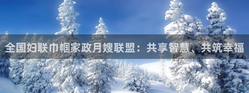 杏悦平台代理注册流程