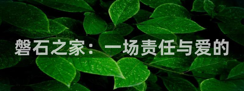 杏悦官网登录入口网址是什么