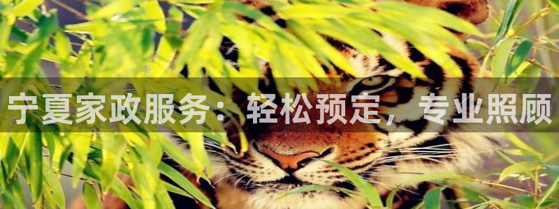 杏悦官网注册信息查询