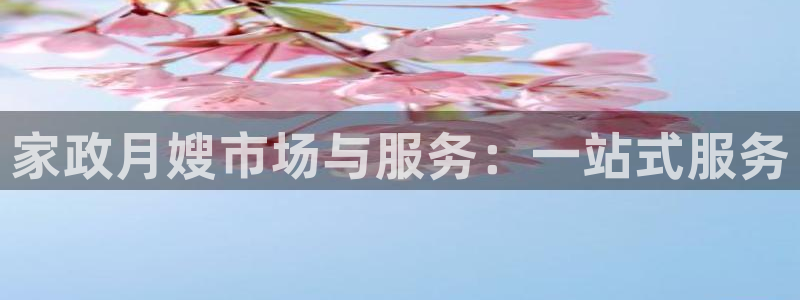 杏悦官方平台官网入口