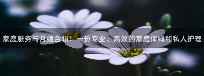 杏悦平台注册流程