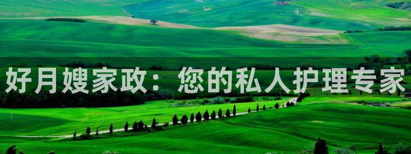 杏悦平台登录网址是多少