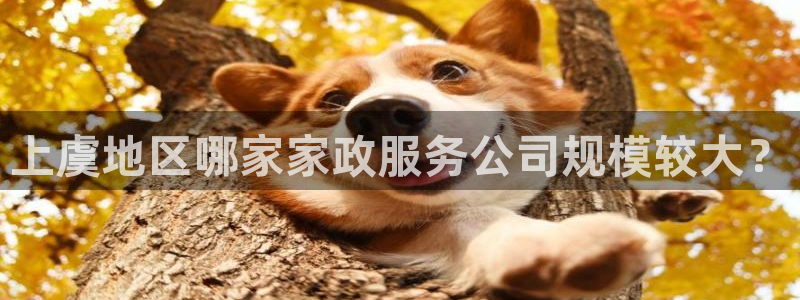 杏悦官网注册信息在哪里查看