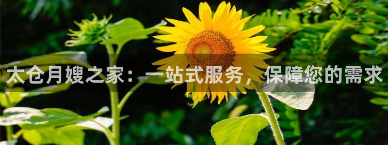 杏悦官网登录入口网址